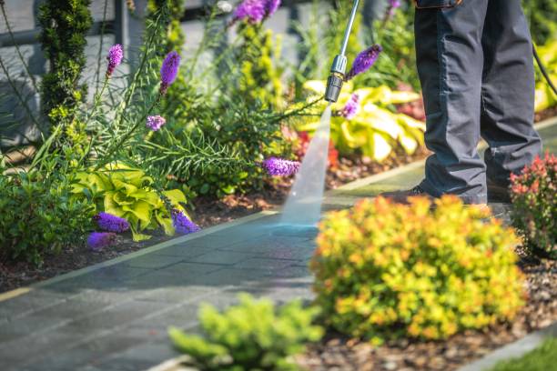 Professional Pressure Washing Services in Hermantown, MN